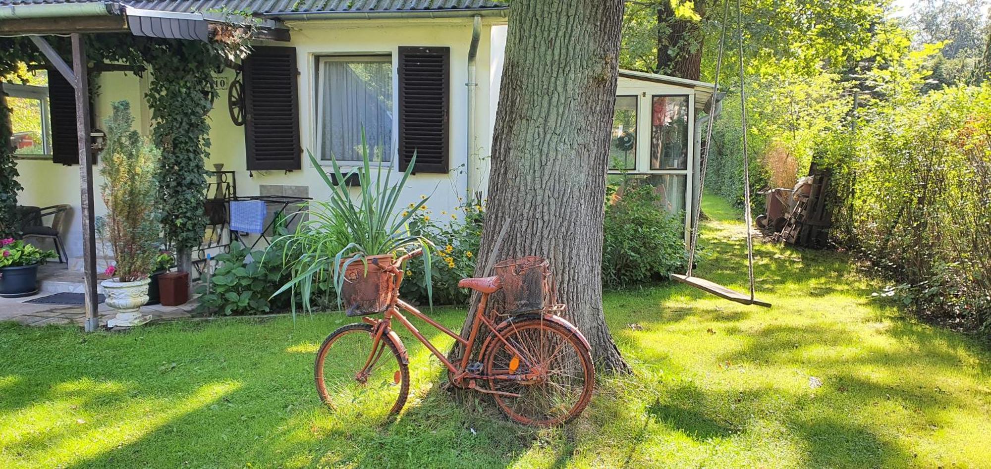 Ferienhaus Schatz Siedlung Schonwalde Zewnętrze zdjęcie